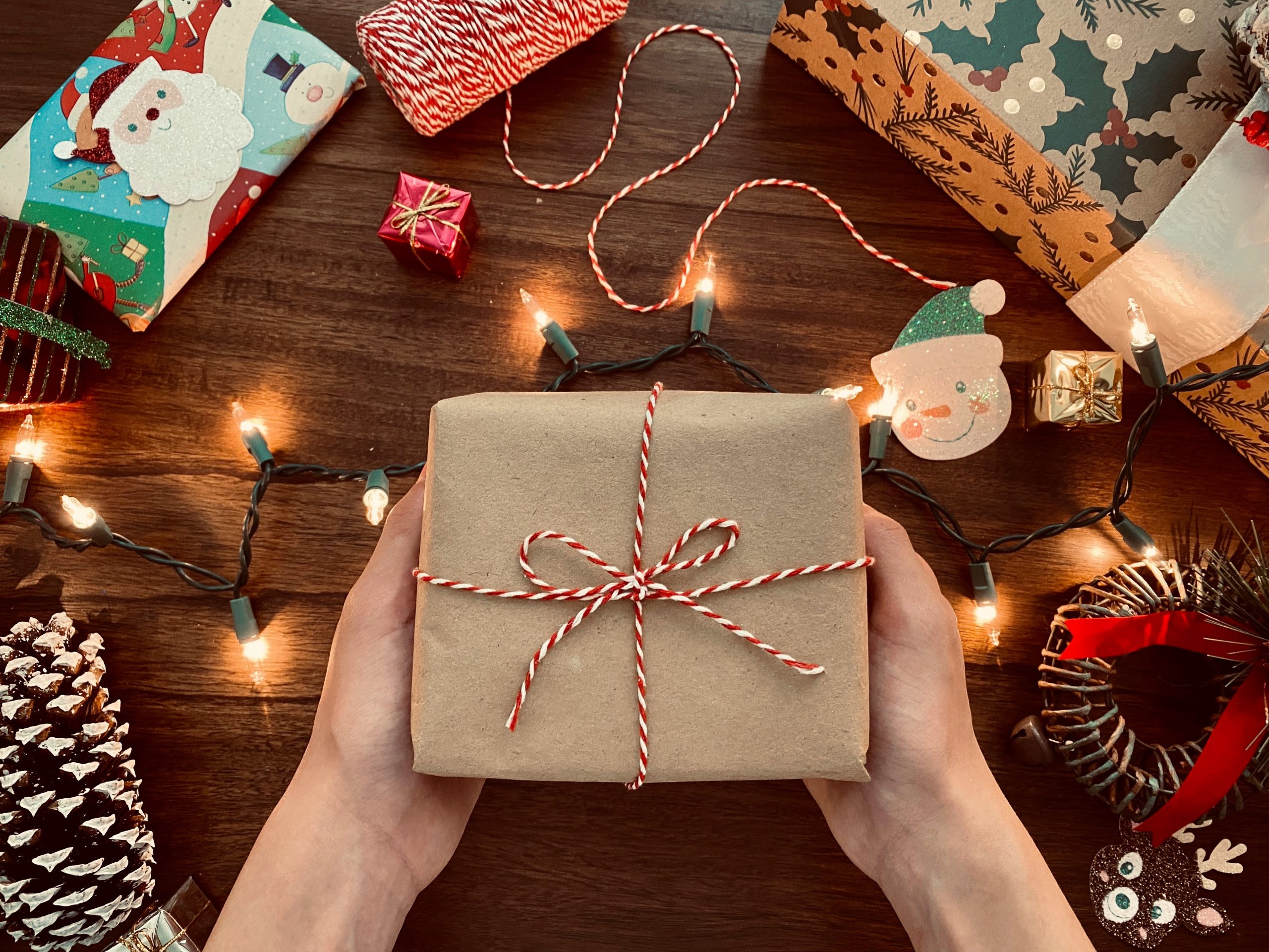 5 idées pour un cadeau éco responsable à Noel - Lutin farceur de Noël -  Site officiel